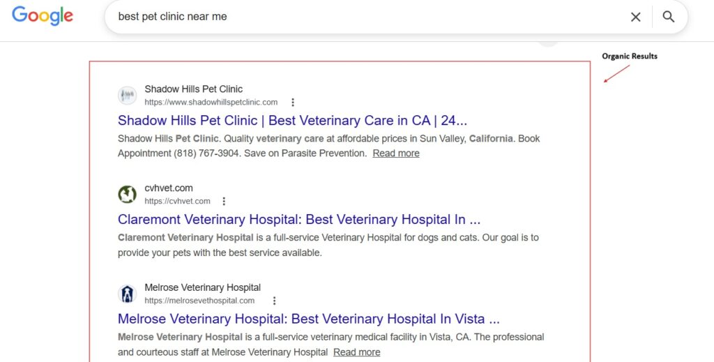 Google organic search results
